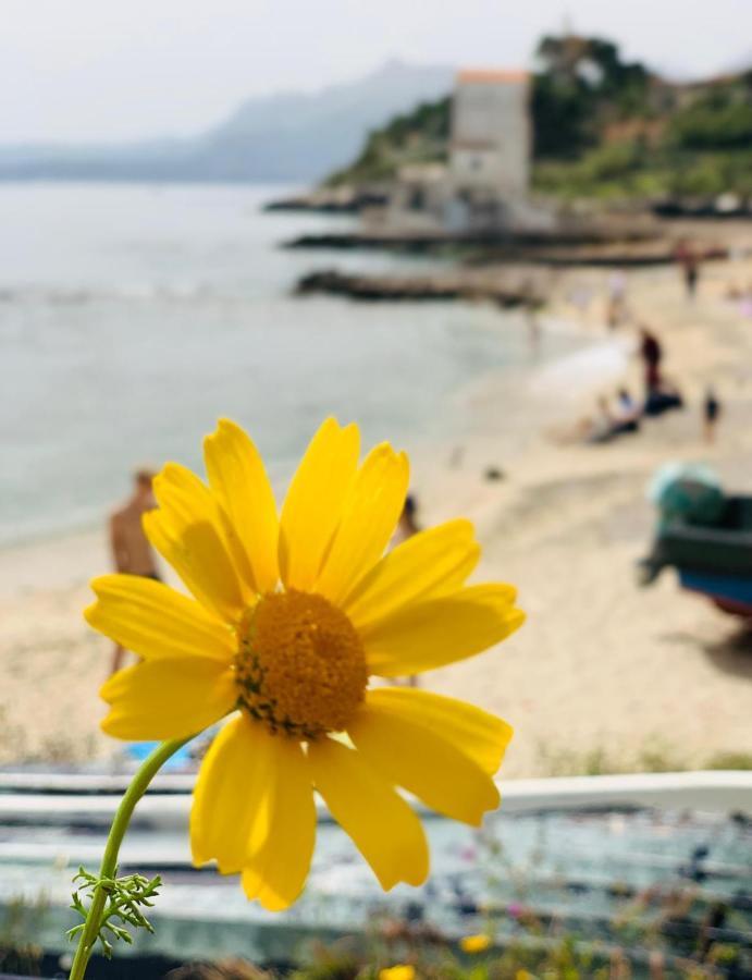 La Casetta Di Maria Apartment ซานตาฟลาวิอา ภายนอก รูปภาพ
